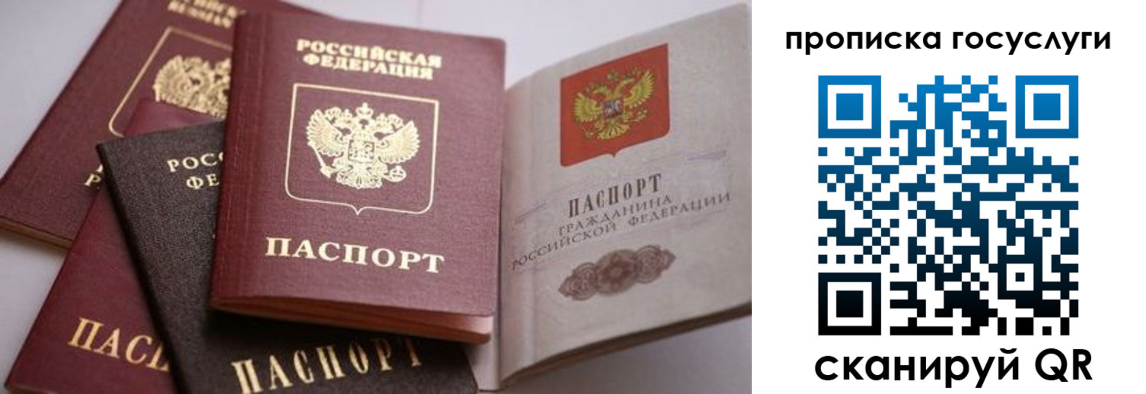 прописка иностранных граждан в Ряжске
